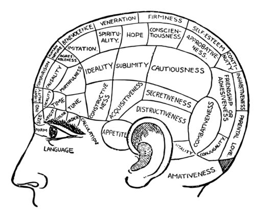 Human Psychology: 10 Secrets of the Creative Brain