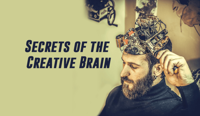 Human Psychology: 10 Secrets of the Creative Brain