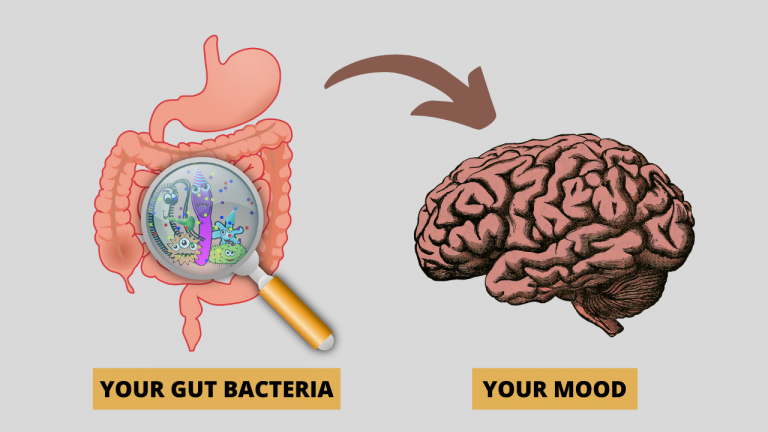 Psychobiotics The Gut-Brain Psychology